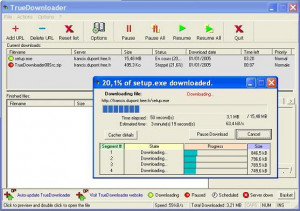 TrueDownloader - náhled