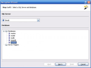 DMT SQL Decryptor - náhled