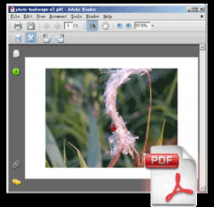 PhotoPDF Photo to PDF Converter - náhled