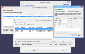 Bitvise SSH Client - náhled