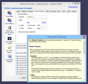Bitvise SSH Client - náhled