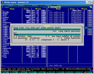 Bitvise SSH Client - náhled