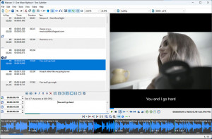 Tero Subtitler - náhled