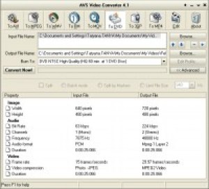 AVS Video Converter - náhled