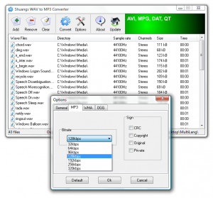 Shuangs WAV to MP3 Converter - náhled
