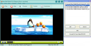 AnvSoft Web FLV Player - náhled