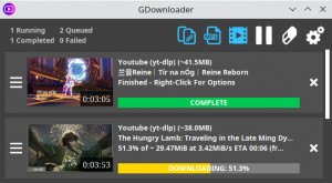 GDownloader - náhled