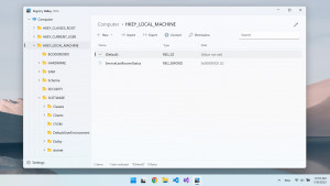 Fluent Registry Editor - náhled