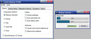 Backup Express - náhled