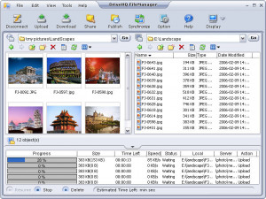 DriveHQ FileManager - náhled