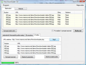 Fine Downloader - náhled