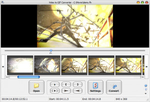Video to GIF Converter - náhled