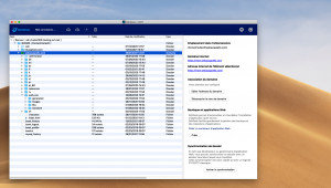 SshDesk - náhled