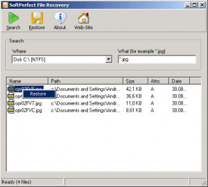 SoftPerfect File Recovery - náhled