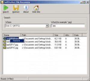 SoftPerfect File Recovery - náhled