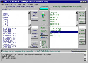 32bit FTP - náhled