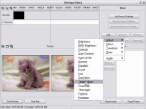 AVS Video Tools - náhled