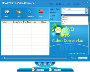 Goo DVD To Video Converter - náhled