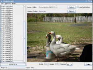 PhotoScale! - náhled