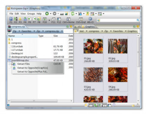 Risingware File Manager - náhled