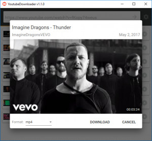 YoutubeDownloader - náhled