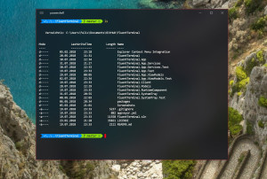 Fluent Terminal - náhled