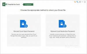 PassFab for Excel - náhled
