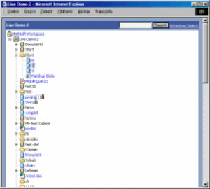 iNetSoft Workspace - náhled