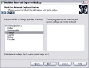 BackRex Internet Explorer Backup - náhled