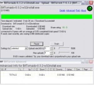 BitTornado - náhled