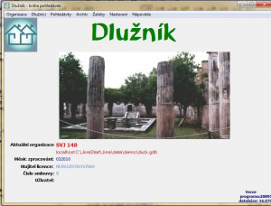 Dlužník - náhled