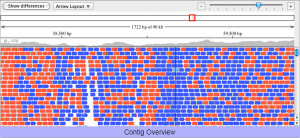 CodonCode Aligner - náhled