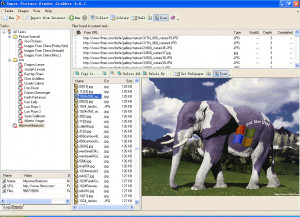 Super Picture Finder Grabber - náhled