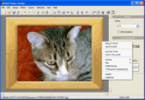 Framing Studio - náhled