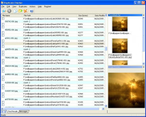 Duplicate Checker - náhled
