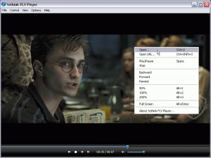 Sothink FLV Player - náhled