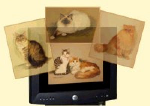 Cat Portraits - Oil and Pastel Paintings - náhled