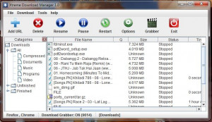 Xtreme Download Manager - náhled