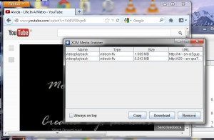 Xtreme Download Manager - náhled