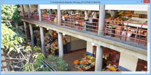 Simple BPG Image viewer - náhled