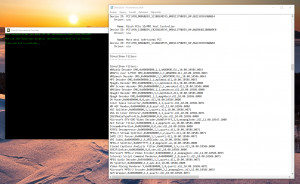 DirectX Information Provider - náhled