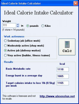 Ideal Calorie Intake Calculator - náhled