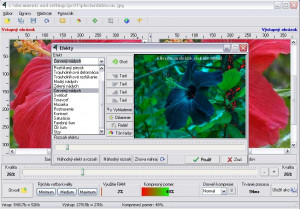 Realtime Picture Convertor - náhled