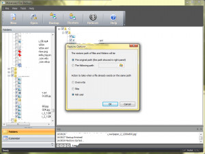 Advanced File Backup - náhled