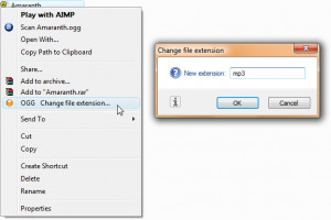 Change File Extension Shell Menu  - náhled