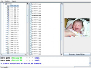 Java Mass JPEG Resizer Tool - náhled