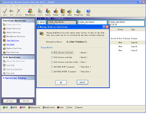 Partition Wizard Business Edition - náhled
