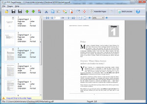 A-PDF Page Master - náhled
