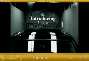 FreeSmith Video Player - náhled