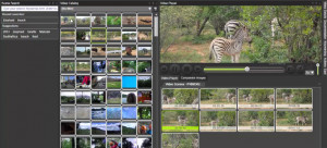 Fast Video Cataloger - náhled